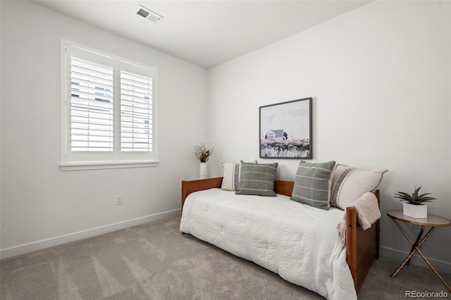 17121 Desert Wine Ln, Parker, CO 80134 - bedroom with carpet floors and baseboards