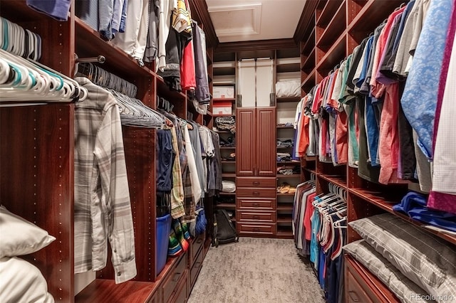 walk in closet with light colored carpet