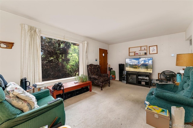 7241 Raritan St, Denver, CO 80221 - photo 5