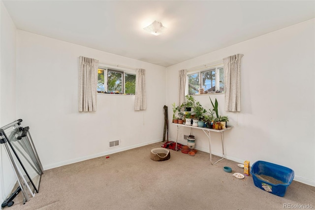7241 Raritan St, Denver, CO 80221 - photo 10