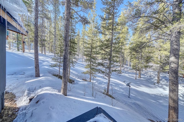 36 High Three Cir, Leadville, CO 80461 - photo 19