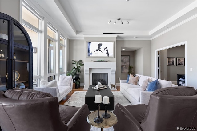 living room with a raised ceiling, wood-type flooring, and ornamental molding