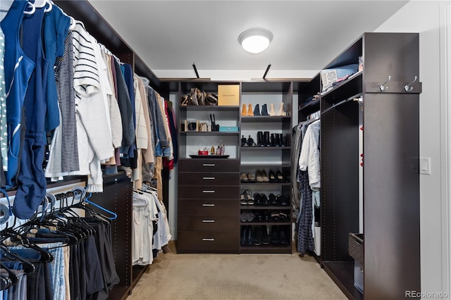 walk in closet with light colored carpet