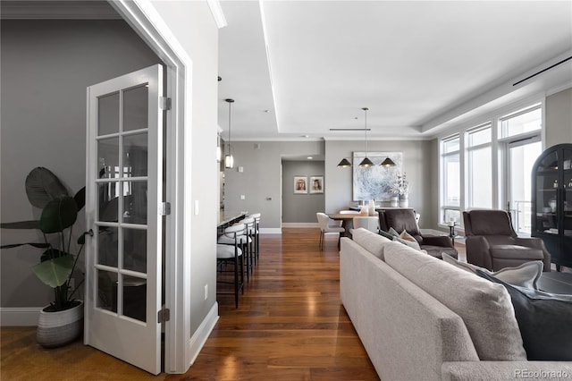 living room with a tray ceiling and dark wood-type flooring