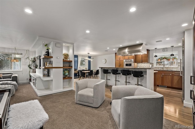 living room featuring sink and dark hardwood / wood-style flooring