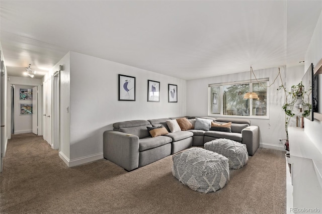 living room with carpet floors