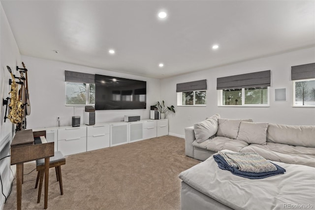 living room featuring light colored carpet