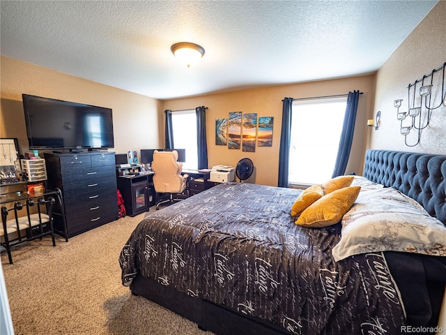 8809 15th Street Rd, Greeley, CO 80634 - carpeted bedroom featuring a textured ceiling and an office area