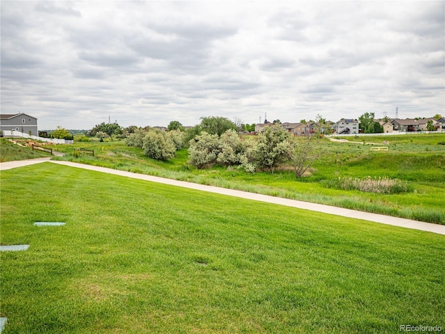 8809 15th Street Rd, Greeley, CO 80634 - view of grassy yard