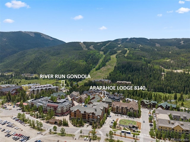 91 River Run Rd Unit 8140, Keystone, CO 80435 - view of mountain backdrop with a forest