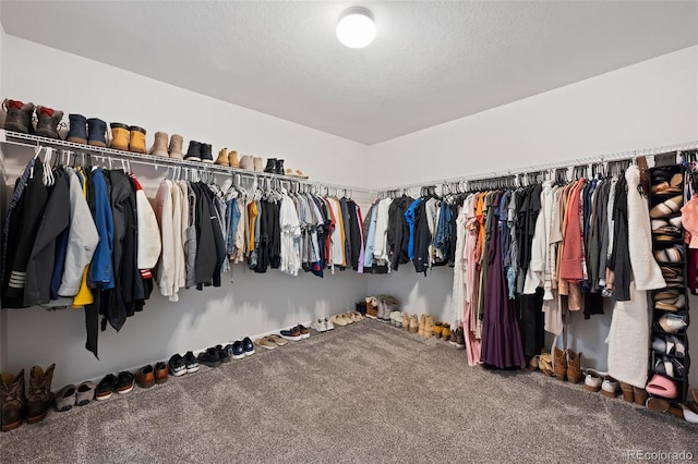 walk in closet with carpet floors