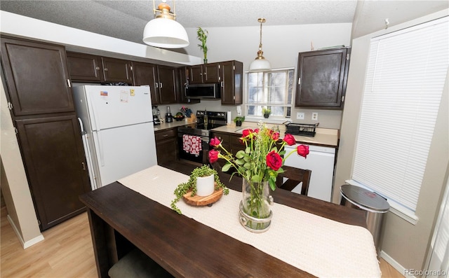 kitchen featuring decorative light fixtures, a textured ceiling, stainless steel appliances, light wood-style floors, and dark brown cabinets