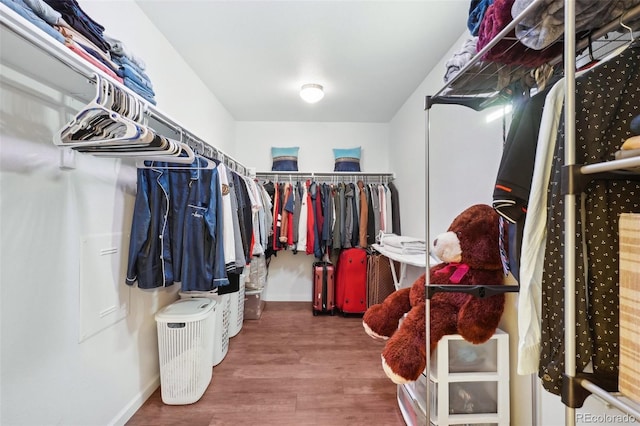 spacious closet featuring hardwood / wood-style floors