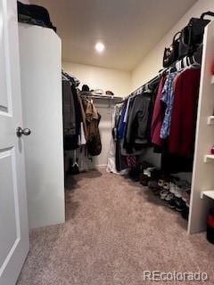 walk in closet with carpet flooring