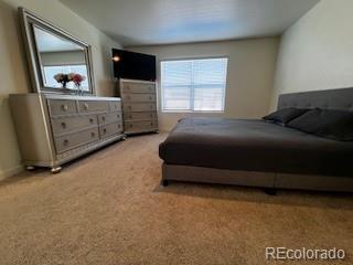 carpeted bedroom with multiple windows