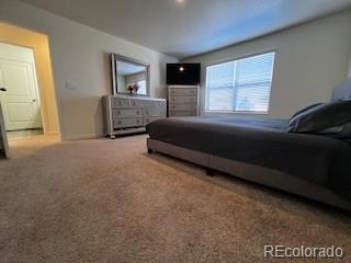 bedroom featuring carpet floors