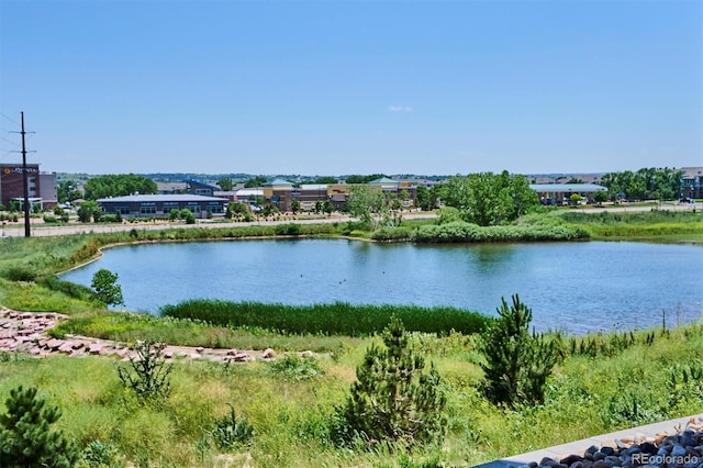 16860 Askins Loop Unit 102, Parker, CO 80134 - photo 29