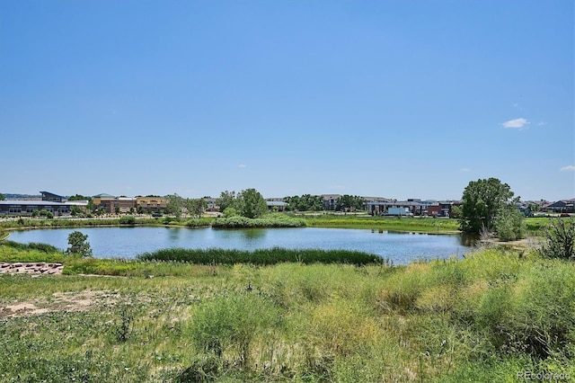 16860 Askins Loop Unit 102, Parker, CO 80134 - photo 30