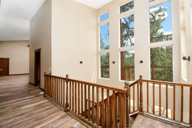 15175 Rainbow Dr, Sedalia, CO 80135 - photo 4