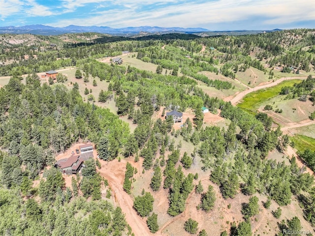 birds eye view of property featuring a mountain view