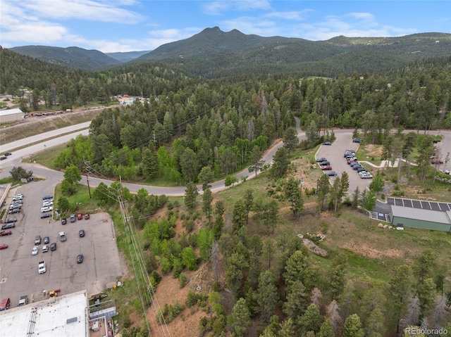 11040 Kitty Dr, Conifer, CO 80433