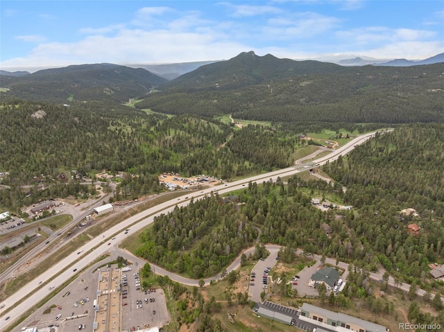 11040 Kitty Dr, Conifer, CO 80433