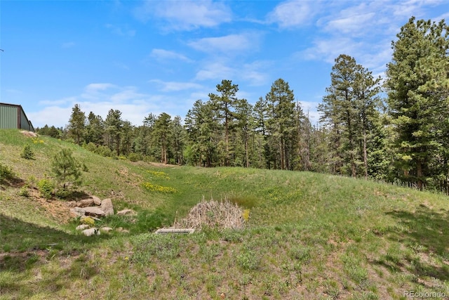 11040 Kitty Dr, Conifer, CO 80433