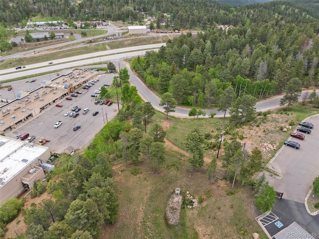 11040 Kitty Dr, Conifer, CO 80433