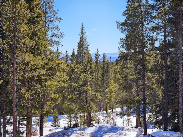 property view of mountains featuring a view of trees