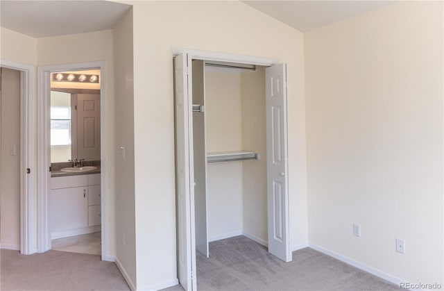 closet featuring sink