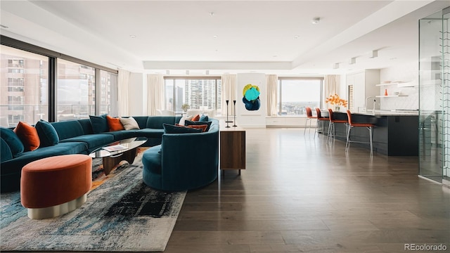 living room featuring dark hardwood / wood-style flooring and sink