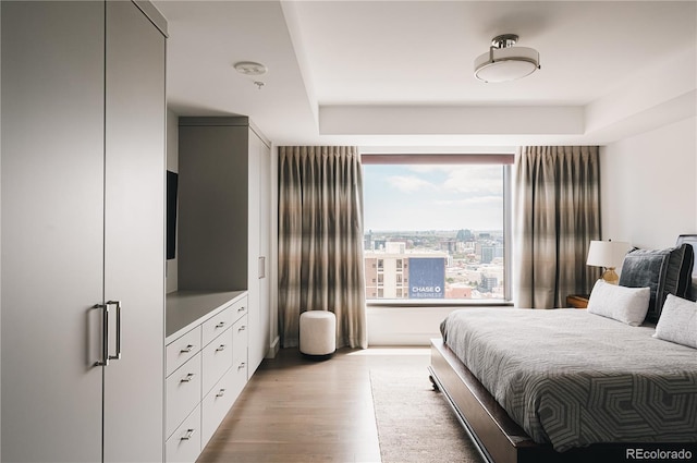 bedroom featuring a tray ceiling and light hardwood / wood-style flooring