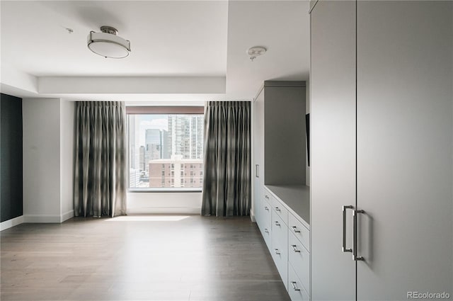 interior space with a closet and light hardwood / wood-style floors