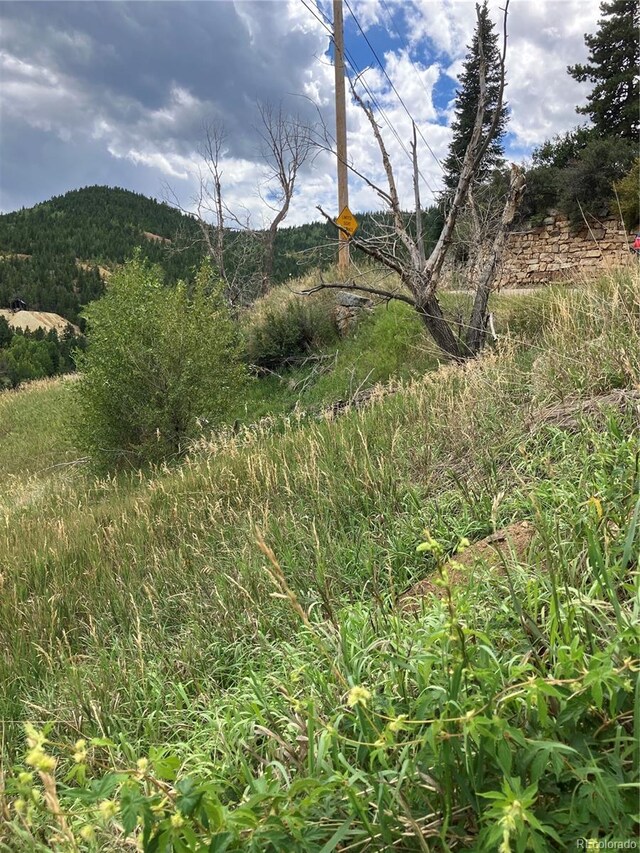1 Casey St, Central City, CO 80427