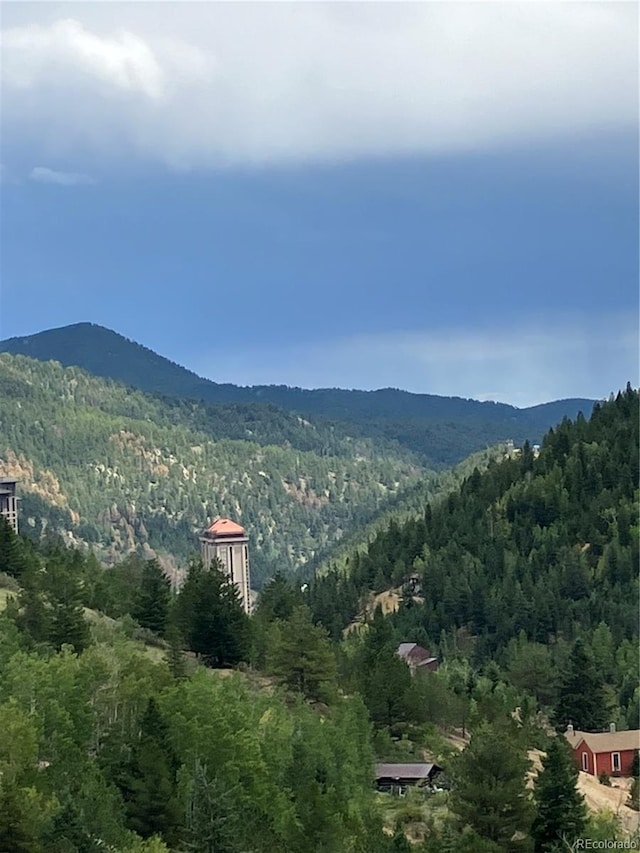 1 Casey St, Central City, CO 80427