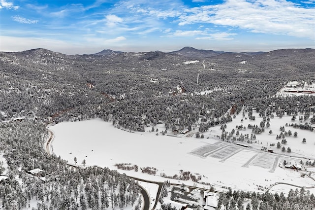 snowy aerial view featuring a mountain view