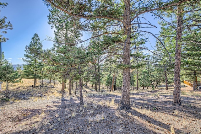 25 Amanda Cir, Florissant, CO 80816 - photo 21