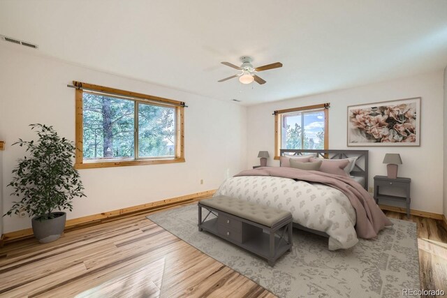 25 Amanda Cir, Florissant, CO 80816 - photo 9