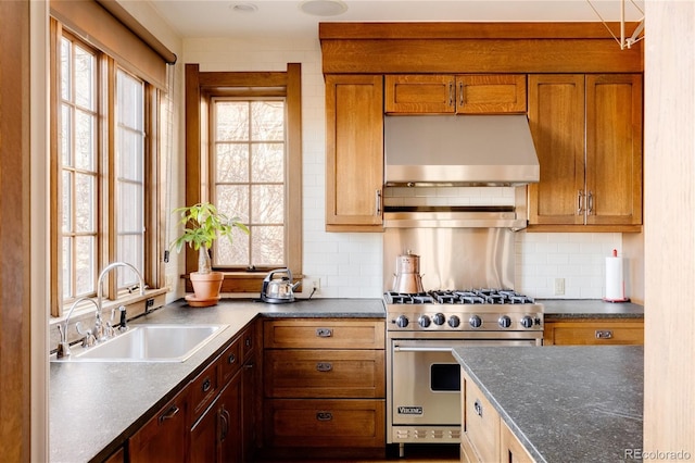 kitchen featuring sink, ventilation hood, backsplash, and luxury stove