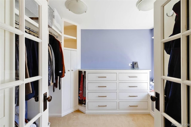 spacious closet with light carpet