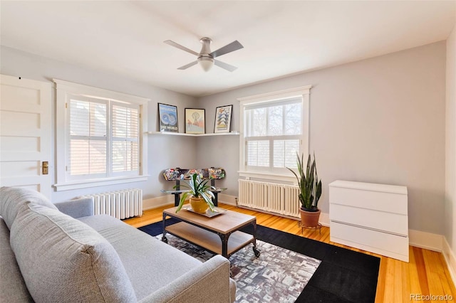 living room with ceiling fan, light hardwood / wood-style floors, and radiator