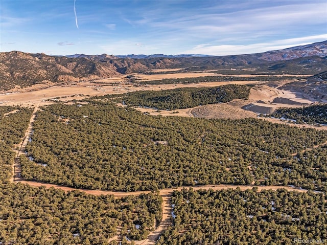 drone / aerial view featuring a mountain view