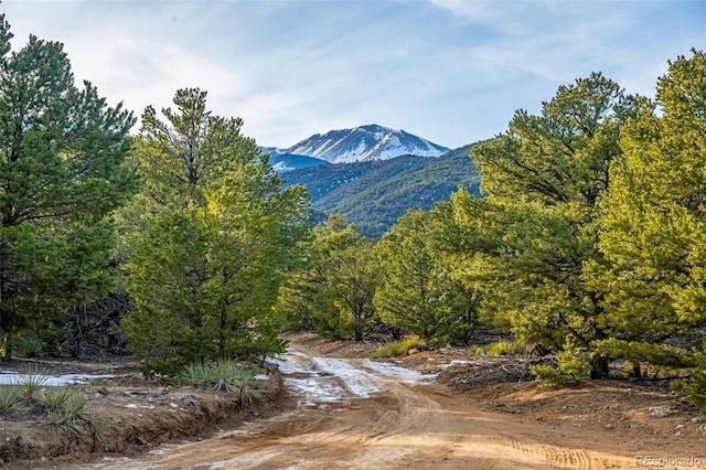 view of mountain feature with a wooded view