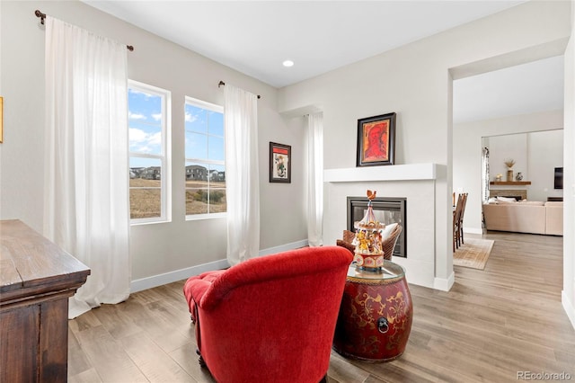 sitting room featuring light wood-type flooring