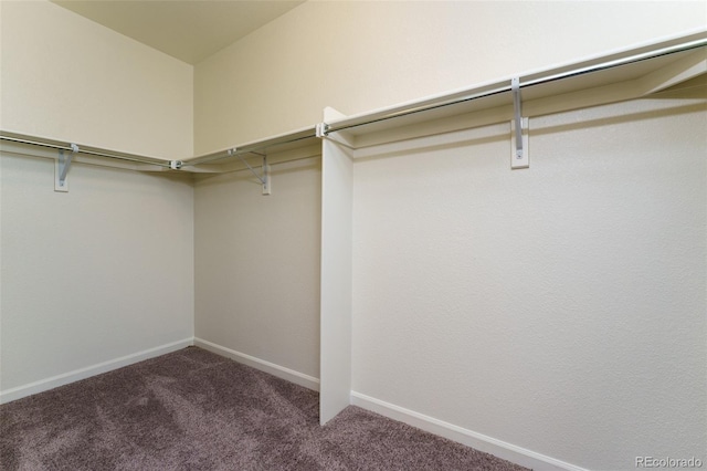 walk in closet with dark carpet