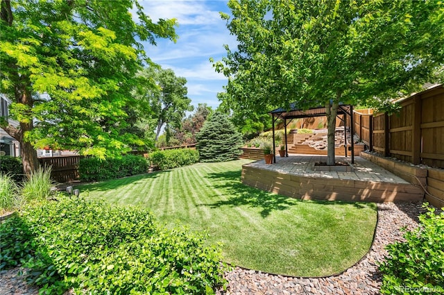 9916 Spring Hill Ln, Highlands Ranch, CO 80129 - fenced backyard with a patio