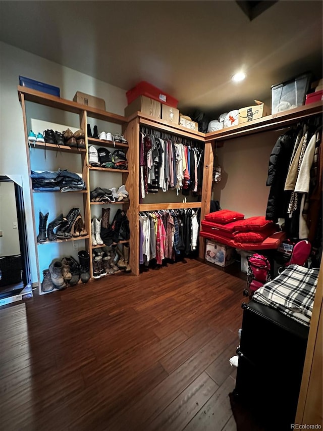 spacious closet with wood-type flooring