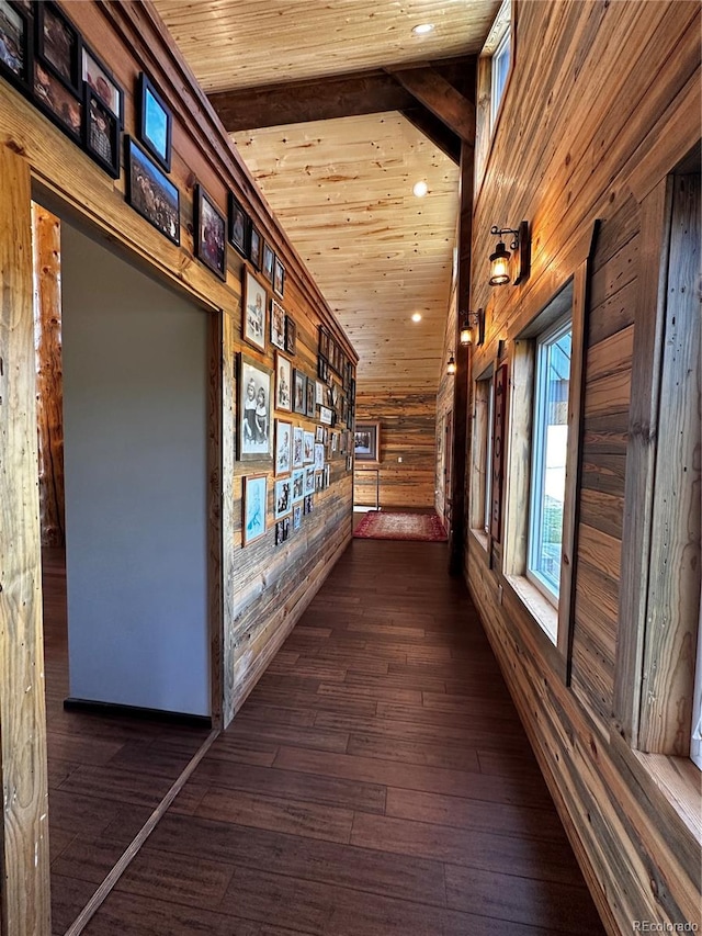 corridor with wooden ceiling, dark hardwood / wood-style floors, wood walls, and vaulted ceiling with beams