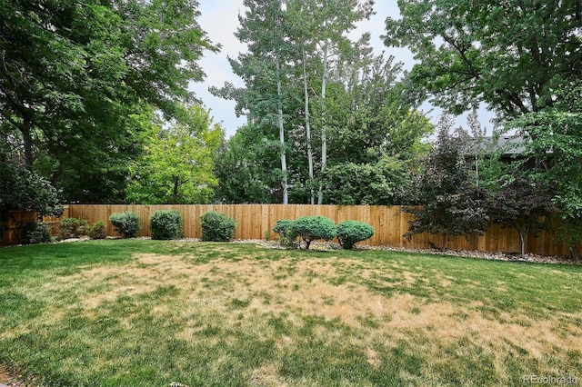 3926 S Magnolia Way, Denver, CO 80237 - photo 46