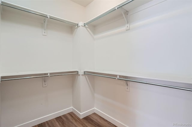 4625 Walden Ct, Denver, CO 80249 - walk in closet with wood finished floors